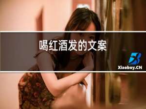 喝红酒发的文案