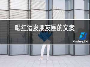喝红酒发朋友圈的文案