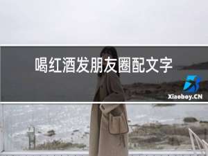 喝红酒发朋友圈配文字
