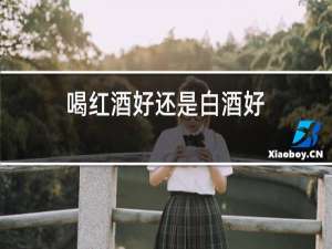 喝红酒好还是白酒好
