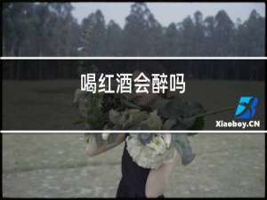 喝红酒会醉吗