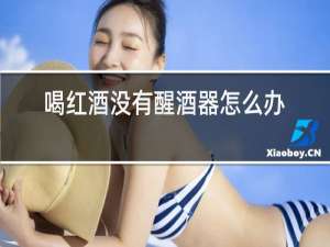 喝红酒没有醒酒器怎么办