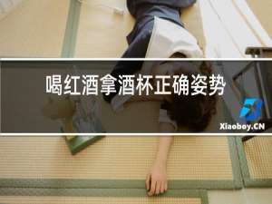喝红酒拿酒杯正确姿势