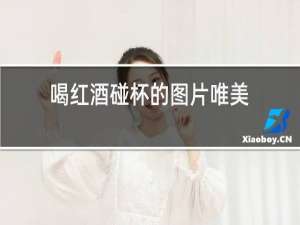 喝红酒碰杯的图片唯美