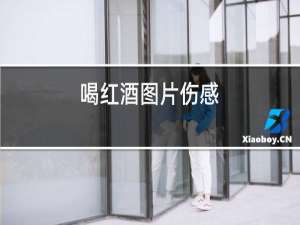 喝红酒图片伤感