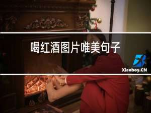 喝红酒图片唯美句子