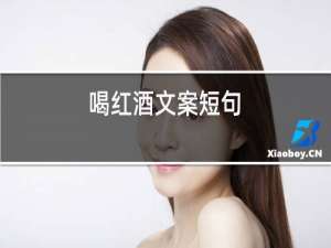 喝红酒文案短句