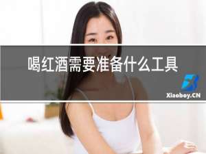 喝红酒需要准备什么工具