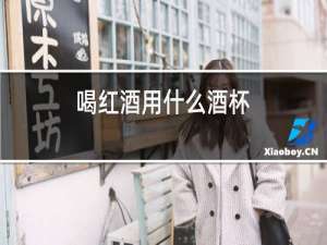 喝红酒用什么酒杯