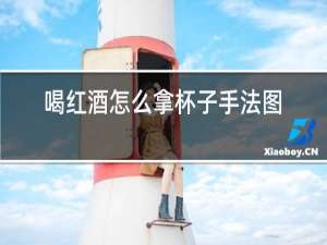 喝红酒怎么拿杯子手法图片