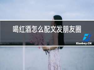 喝红酒怎么配文发朋友圈