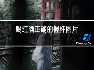 喝红酒正确的握杯图片