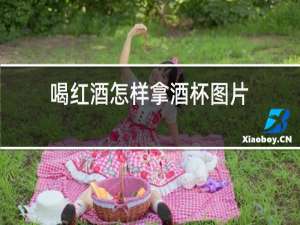 喝红酒怎样拿酒杯图片