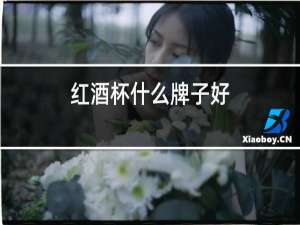 红酒杯什么牌子好