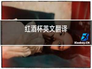红酒杯英文翻译