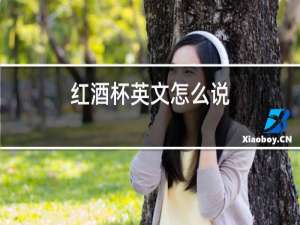 红酒杯英文怎么说