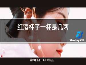 红酒杯子一杯是几两