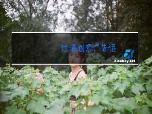 红酒创意广告语