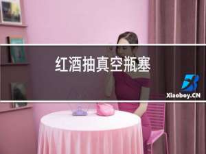 红酒抽真空瓶塞