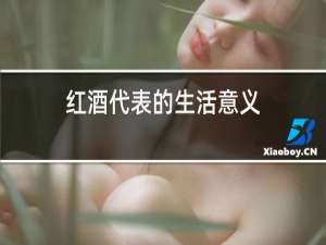 红酒代表的生活意义
