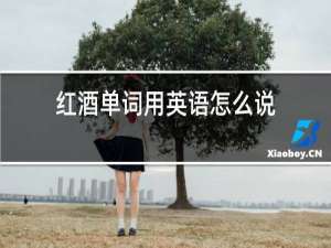 红酒单词用英语怎么说