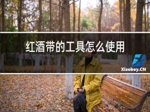红酒带的工具怎么使用