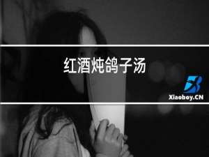 红酒炖鸽子汤