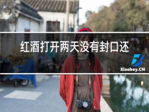 红酒打开两天没有封口还能喝吗