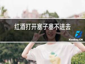 红酒打开塞子塞不进去,还有其他办法吗