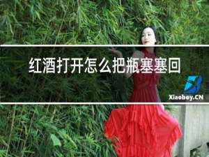 红酒打开怎么把瓶塞塞回去