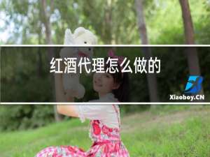 红酒代理怎么做的