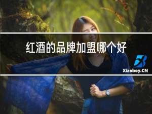 红酒的品牌加盟哪个好
