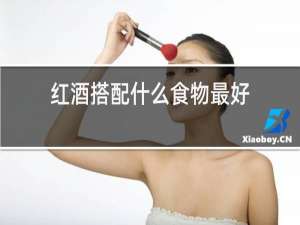 红酒搭配什么食物最好