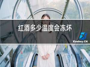 红酒多少温度会冻坏