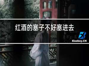 红酒的塞子不好塞进去