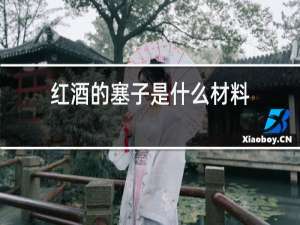 红酒的塞子是什么材料