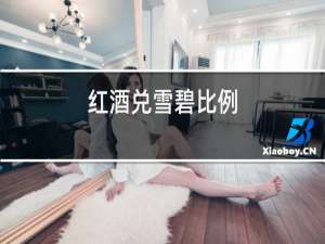 红酒兑雪碧比例