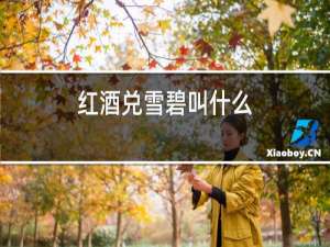 红酒兑雪碧叫什么