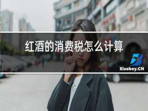 红酒的消费税怎么计算