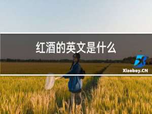 红酒的英文是什么