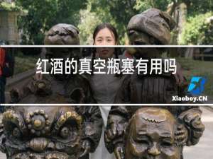 红酒的真空瓶塞有用吗