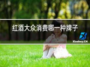 红酒大众消费哪一种牌子的口感好