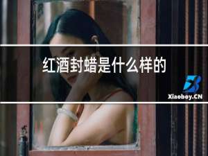 红酒封蜡是什么样的