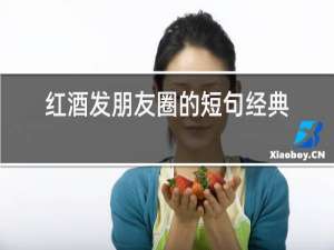 红酒发朋友圈的短句经典