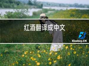 红酒翻译成中文