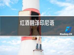 红酒翻译印尼语