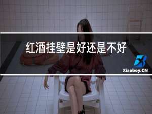 红酒挂杯是好还是不好