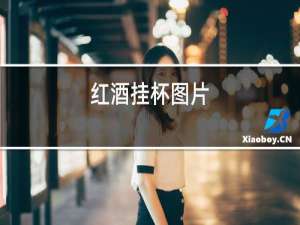 红酒挂杯图片