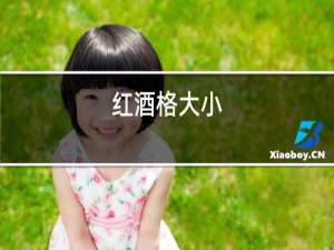 红酒格大小