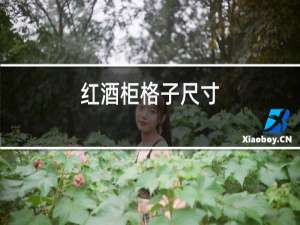 红酒柜格子尺寸